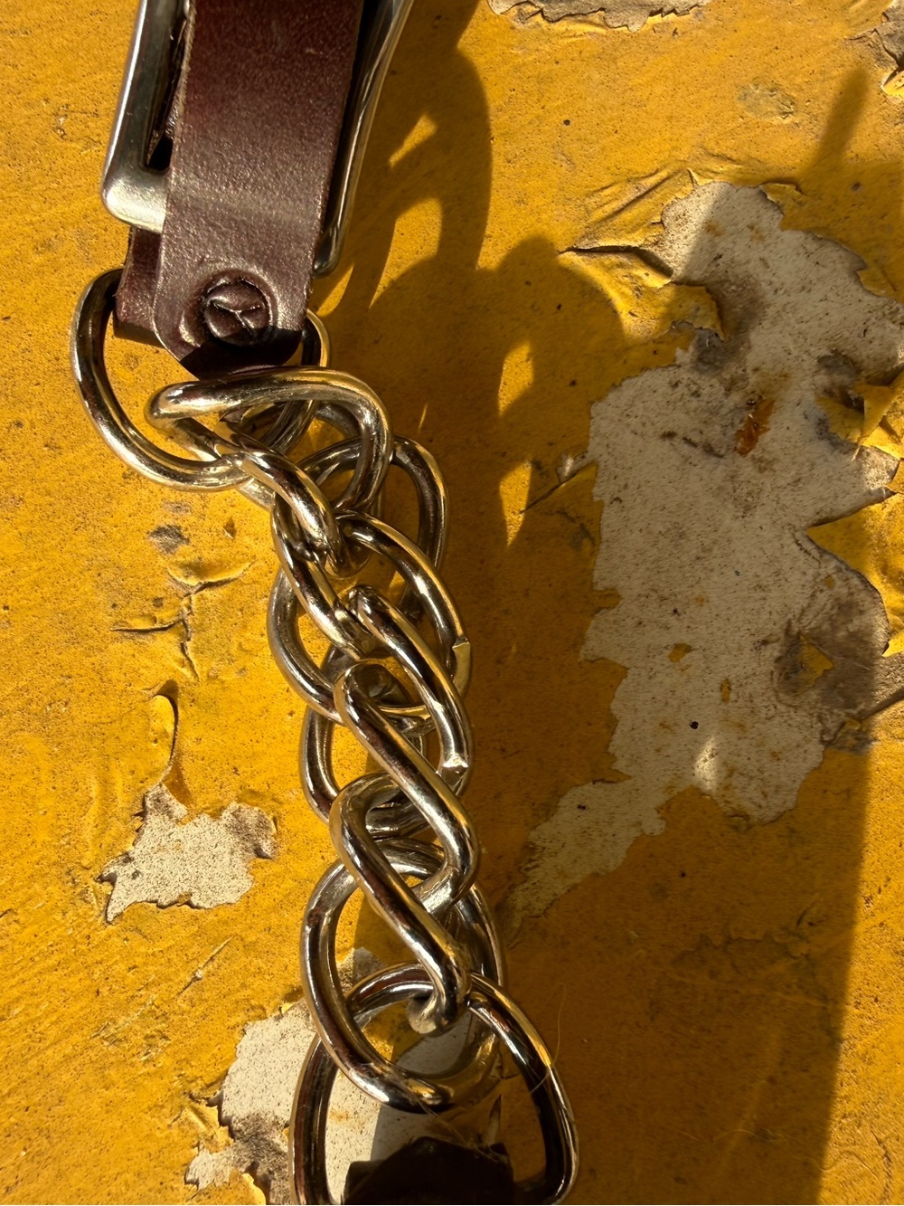 Circle y curb chain
